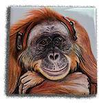 CERAMIC ORANGUTAN COASTER